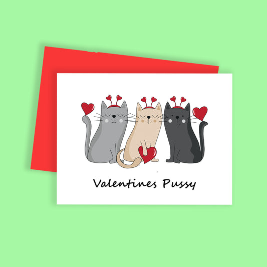 Valentines Pussy HVD